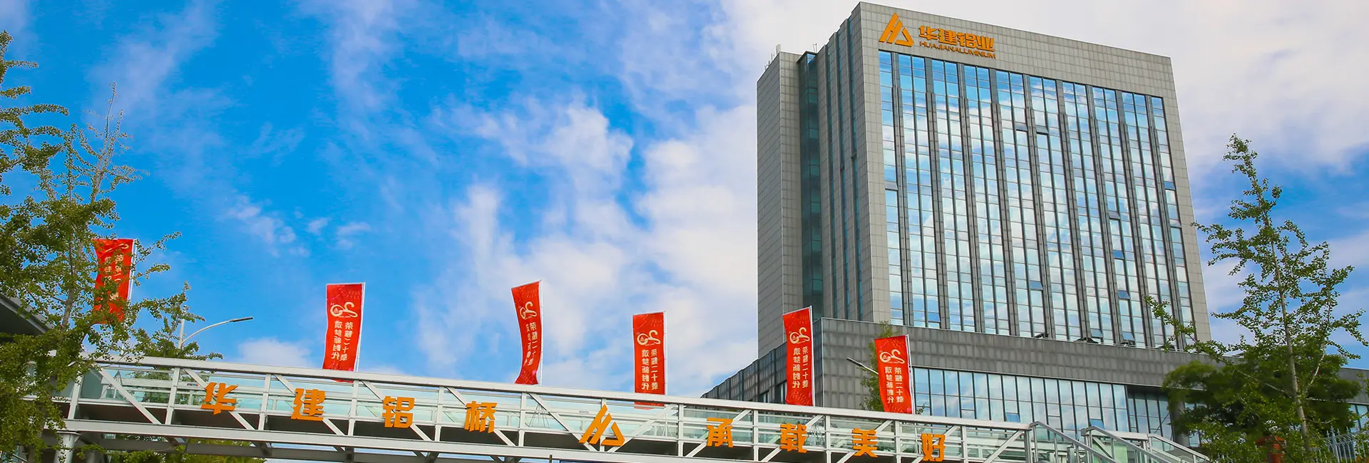 Китайская алюминиевая группа